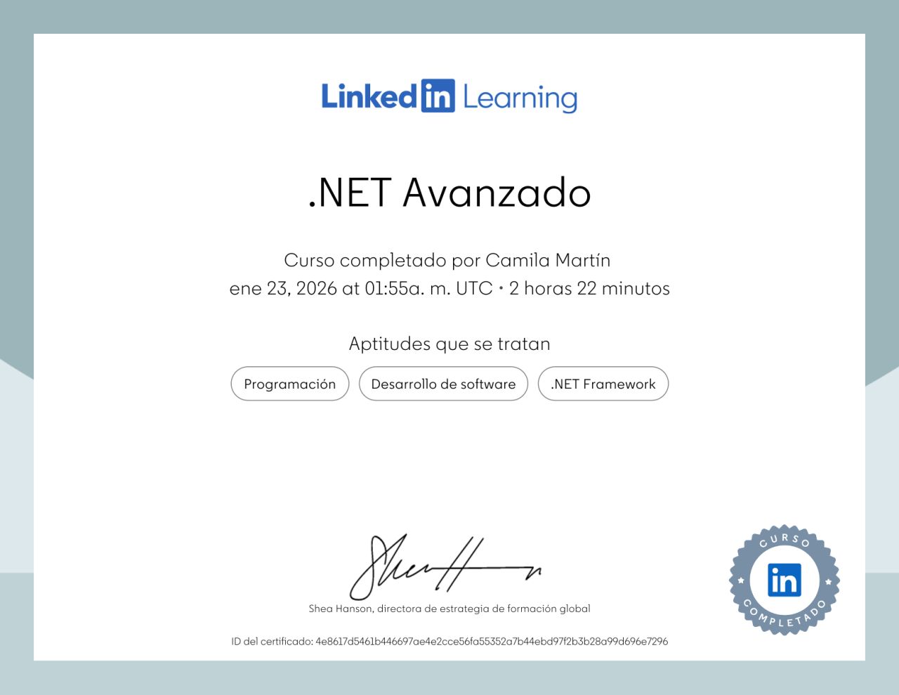 .NET Advanced